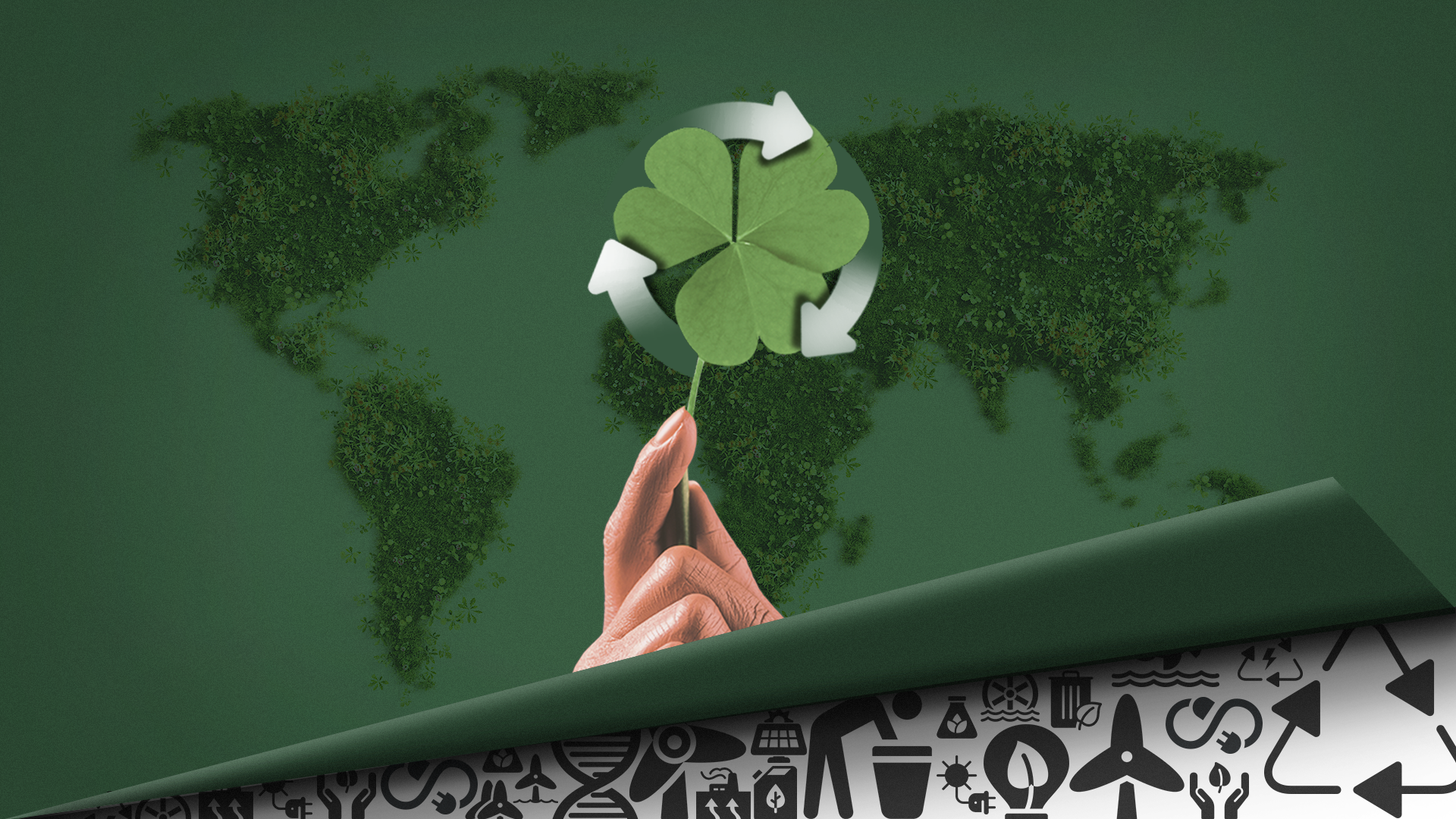 Sustainability in Business Management